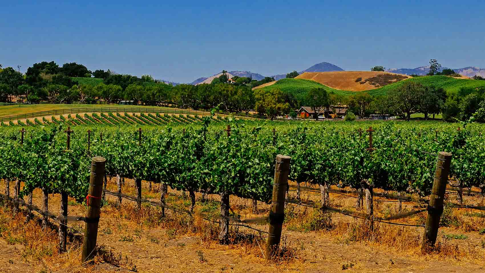 Washington wine country near kimpton hotels